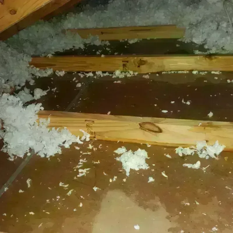 Attic Water Damage in Buckingham, VA